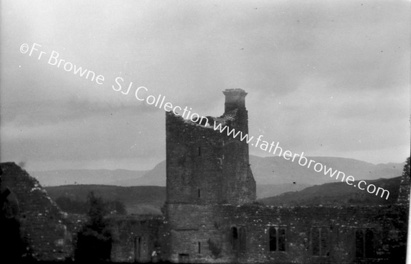 CREEVALEA ABBEY FROM SOUTH